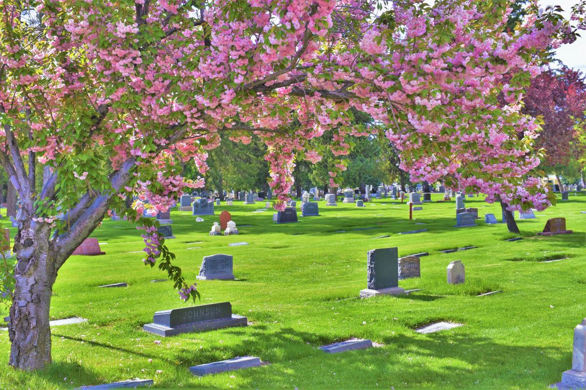 Cemetery View 1